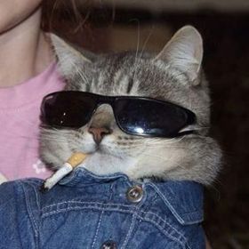 Sage DuRivage